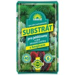 FORESTINA Hoštický Substrát pro jehličnany a jiné okrasné rostliny 40 l – Zboží Dáma
