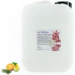 PM Aqualog esence do parních kabin kleč-citrus 924-005/D 5 l – Hledejceny.cz