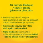 Walmark Koenzym Q10 Forte 60 mg 60 kapslí – Hledejceny.cz