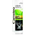 Delia Cosmetics Cameleo BB tekutý keratin ve spreji pro poškozené vlasy 150 ml – Hledejceny.cz