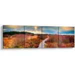 Obraz - Podzimní cesta krajinou, Čtyřdílný 160x40 cm – Hledejceny.cz