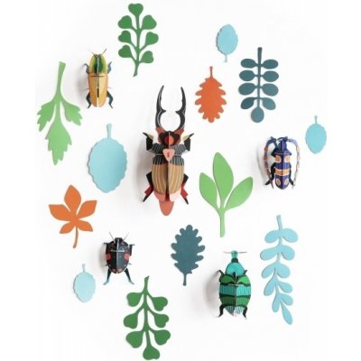 Studio Roof nástěnná dekorace Beetle Antiquary – Hledejceny.cz