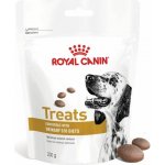 Royal Canin VHN Dog Urinary Treats 230 g – Zboží Dáma
