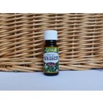 Saloos Vonný olej pokušení 10 ml – Hledejceny.cz