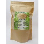 Bio-detox Psyllium vláknina 500 g – Hledejceny.cz