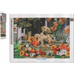 Norimpex Diamantové malování Podzimní zábava 30 x 40 cm – Hledejceny.cz