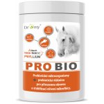 Dromy ProBio FORTE 0,9 kg – Zboží Dáma