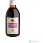 Nobilis Tilia Dětský BIO sirup s jitrocelem Emílek 250 ml – Hledejceny.cz