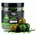 TB BAITS - Boosterované boilie Amur 24 mm 120 g – Hledejceny.cz