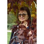 Výklad karet – Sleviste.cz