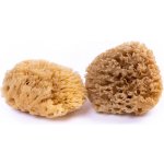 Caribbean Sun mycí houba mořská vlna 9-11 cm bez provázku – Zboží Dáma