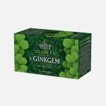 Grešík Čaje 4 světadílů Zelený čaj s ginkgem 20 nálevových sáčků – Sleviste.cz
