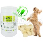 Barfit na klouby 100 Tablet – Hledejceny.cz