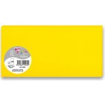 Clairefontaine Barevná dopisní karta žlutá, DL 106 x 213 mm – Zbozi.Blesk.cz