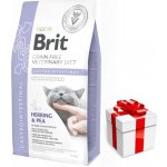 Brit Veterinary Diets Cat GF Gastrointestinal 5 kg – Sleviste.cz