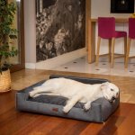 HobbyDog Pelech Glamour Fancy – Zboží Dáma