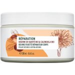 Yves Rocher regenerační tělové máslo 250 ml – Zbozi.Blesk.cz