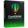 CorelDRAW Graphics Suite 2020 Single User Business License (Windows) | LCCDGS2020ML