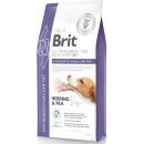 Granule pro psy Brit Veterinary Diet Dog Grain Free Gastrointestinal Low Fat 12 kg