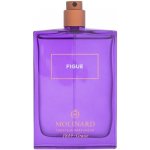 Molinard Les Elements Collection Patchouli parfémovaná voda unisex 75 ml tester – Zboží Dáma