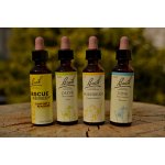 Kombinace pro růst semen a sazenic Balíček Bachovy květové esence 4 x 20ml – Hledejceny.cz