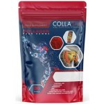 Collango kolagen Extra směs modrá malina 348g – Hledejceny.cz