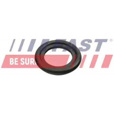 FT49860 FAST Těsnicí kroužek, olejová vypouštěcí zátka | Zboží Auto