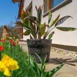 ROTO Květináč Polka M 40x35 cm – Zboží Dáma