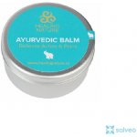 Healing Nature Ájurvédský balzám 80 ml – Zboží Dáma