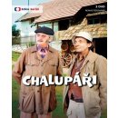 Film Chalupáři 3DVD: DVD