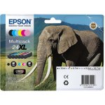 Epson C13T243840 - originální – Hledejceny.cz