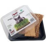 APETIT Apetit Kočičí tráva k vypěstování - miska, kokosová rohož, semínka 30g – Hledejceny.cz