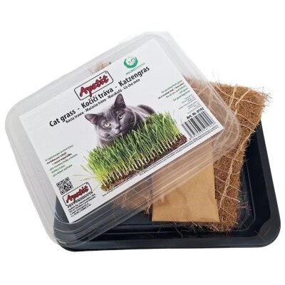APETIT Apetit Kočičí tráva k vypěstování - miska, kokosová rohož, semínka 30g – Hledejceny.cz