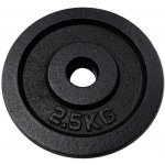 Kubisport Litina 2,5 kg kotouč 25 mm – Hledejceny.cz