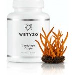 HCY Vitality Cordyceps Origin 90 kapslí – Hledejceny.cz