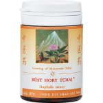 TCM Herbs Růst hory Tchaj 100 tablet – Hledejceny.cz