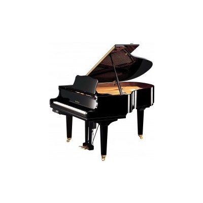 Yamaha DGC2 EN PE – Zboží Dáma