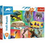TREFL Animal Planet: Svět exotických zvířat 200 dílků – Hledejceny.cz