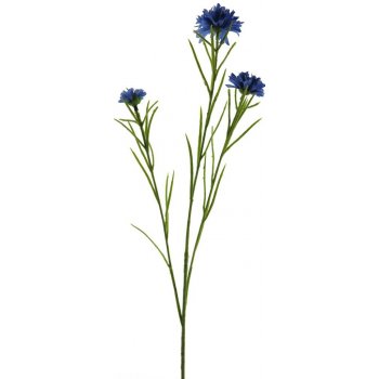 Chrpa - Centaurea (spray) modrá 68 cm