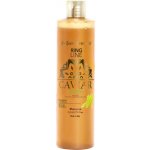 Iv San Bernard ŠAMPON KAVIAR GREEN 300 ml – HobbyKompas.cz