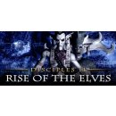 Hra na PC Disciples 2: The Rise of the Elves