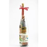 Láhev s penězi Každá stovka dobrá – Sleviste.cz