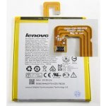 Lenovo L13D1P31 – Zboží Živě