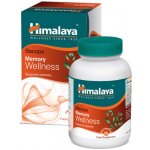Himalaya Wellness Bacopa Brahmi 60 tablet – Hledejceny.cz
