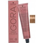 Schwarzkopf Igora Royal béžová světlá blond 8-4 60 ml – Zboží Dáma