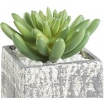 Eglo 428007 - Umělá rostlina CHITOSE 12x7,5 cm sukulent EG428007 – Hledejceny.cz