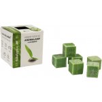 Anděl Přerov vonný vosk Eukalyptus 8 x 30 g – Hledejceny.cz