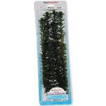 Tetra rostlina Green Cabomba Plus 38 cm – Zboží Mobilmania