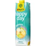 Rauch Happy Day Immun Power Magnesium a Vitamin D 1 l – Sleviste.cz