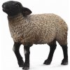 Figurka Collecta Ovce Suffolk